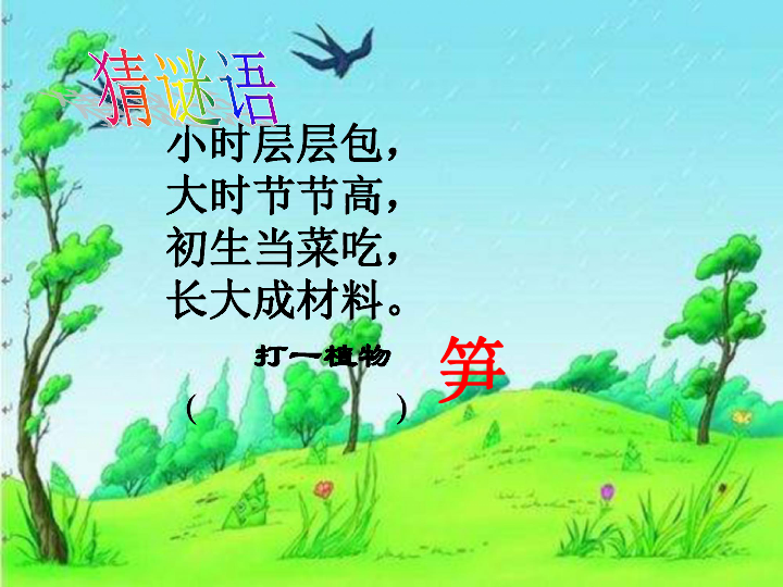 《笋芽儿》课件