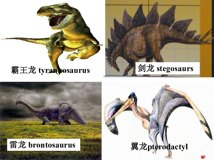 霸王龙 tyrannosaurus剑龙 stegosaurs雷龙 brontosaurus翼龙