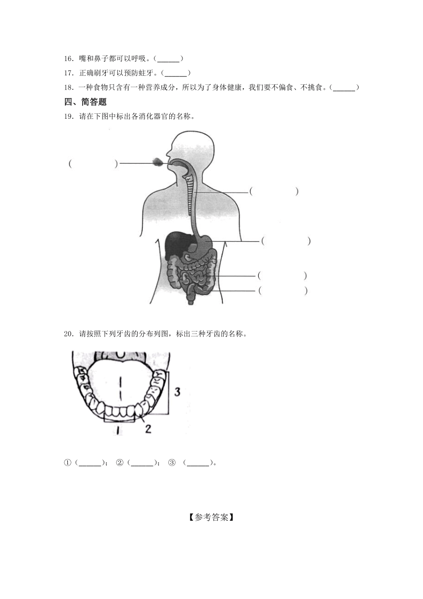 教科版2017秋四年级上册第二单元呼吸与消化训练试题含答案