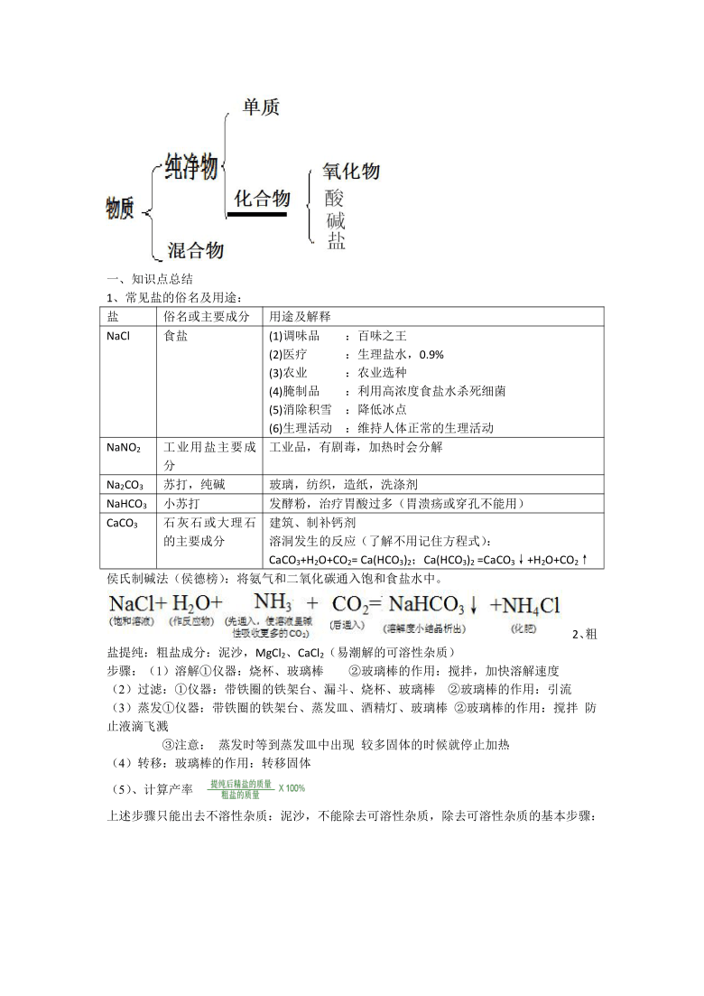 中考化学专题复习 酸碱盐知识点总结