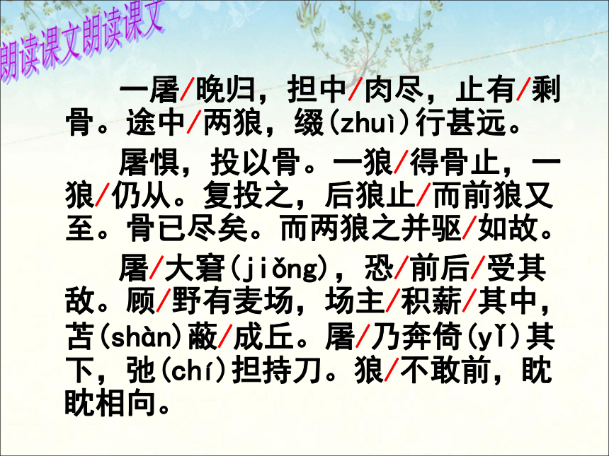 2021—2022学年部编版语文七年级上册18狼课件(共33张ppt)