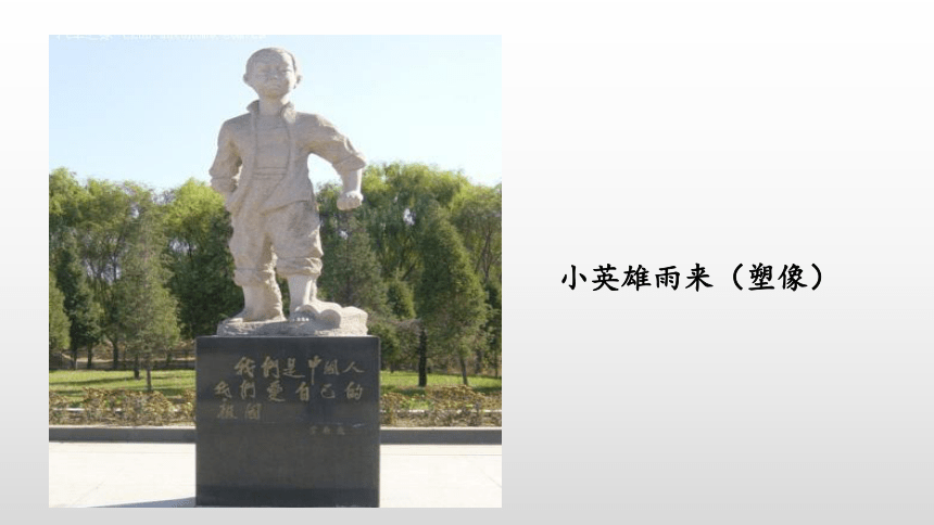 19 小英雄雨来(节选 课件(共31张ppt)