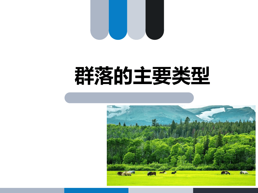 人教版2019高中生物选择性必修二22群落的主要类型课件28张