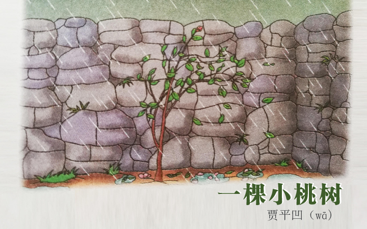 一棵小桃树精美课件
