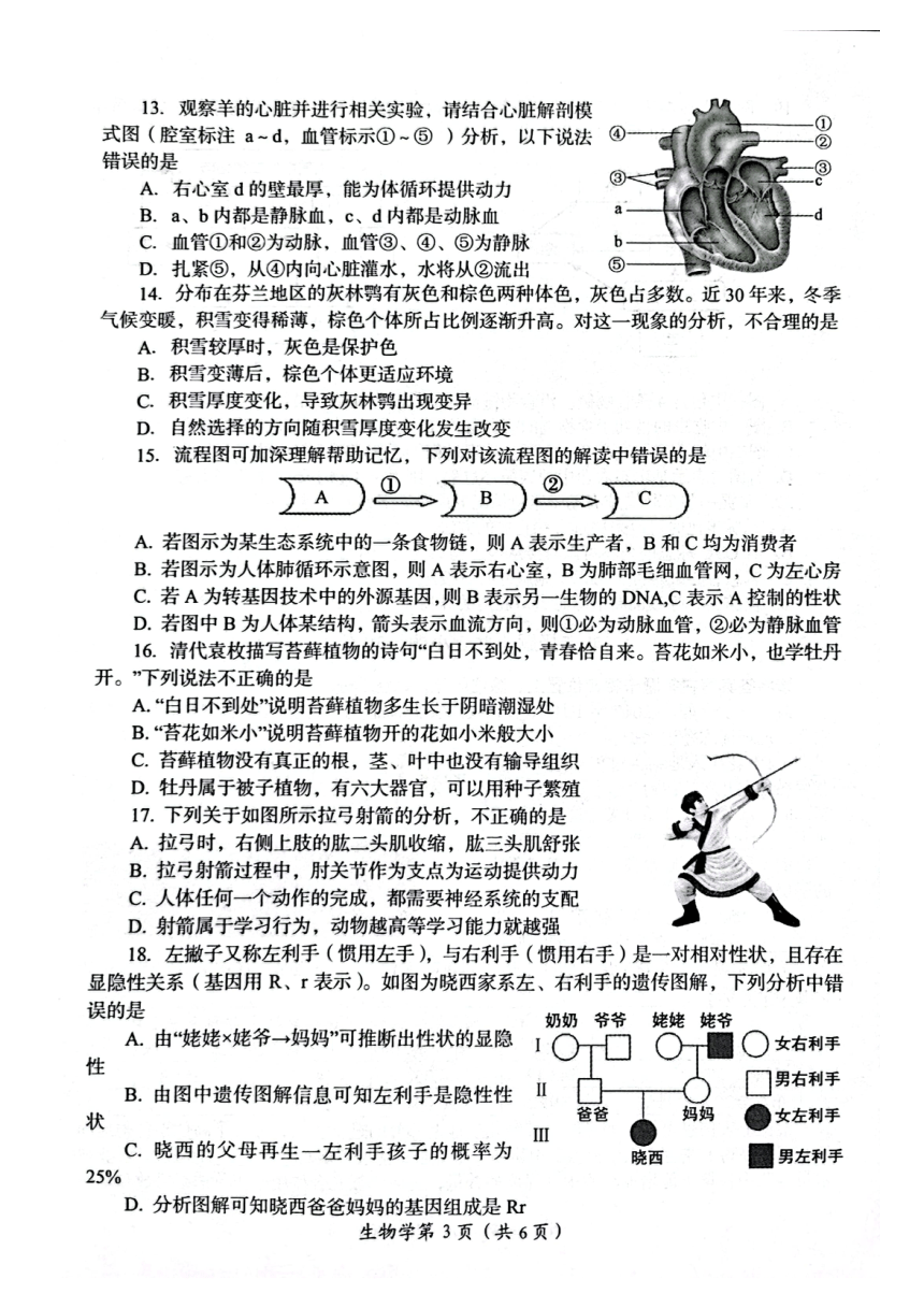 河南省洛阳市2022年中招模拟考试生物试卷图片版无答案