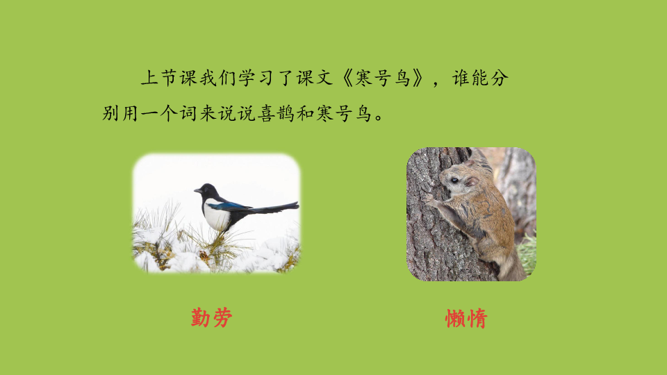 二年级上册语文课件13寒号鸟人教部编版共24张ppt
