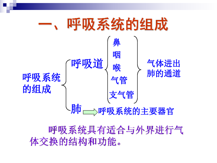 人教部编版七年级生物下册第四单元第三章人体的呼吸第一节呼吸道对