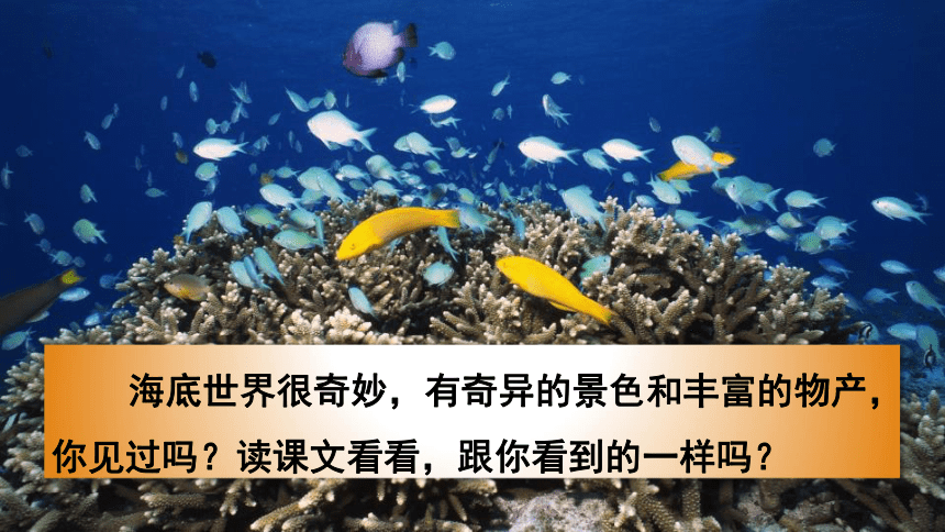 听课文朗读,疏通生字词,说一说:文中的哪句话概括介绍海底世界的特点?