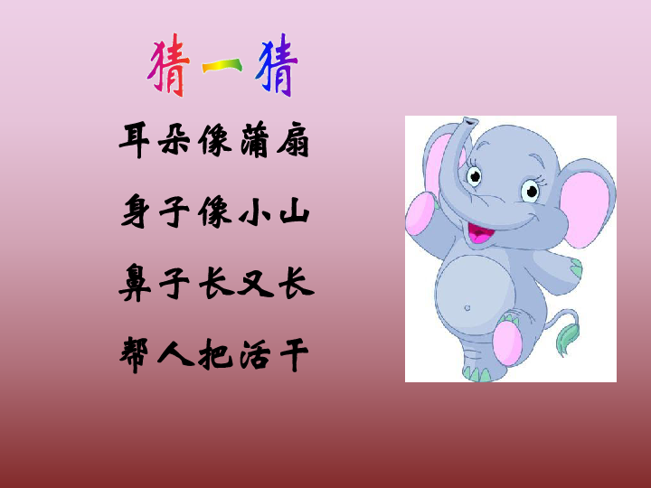 可爱的小象 课件 (3)