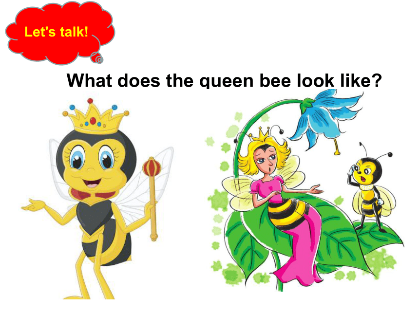 bird duck giraffebee 火眼金睛what does the queen bee look like?