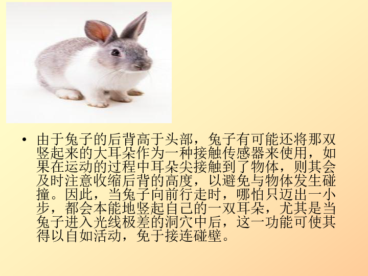 科学二年级上青岛版12动物的耳朵课件18张ppt