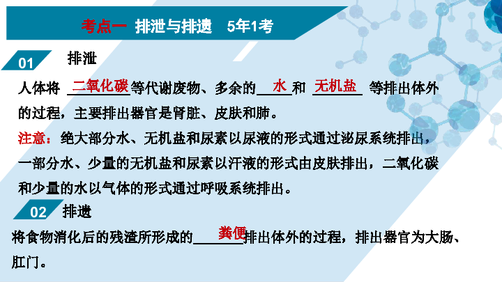 济南版七年级生物下册第三单元第四章人体内代谢物质