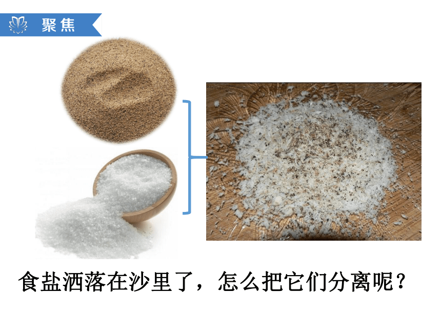 教科版2017秋三年级科学上册17混合与分离课件13张ppt