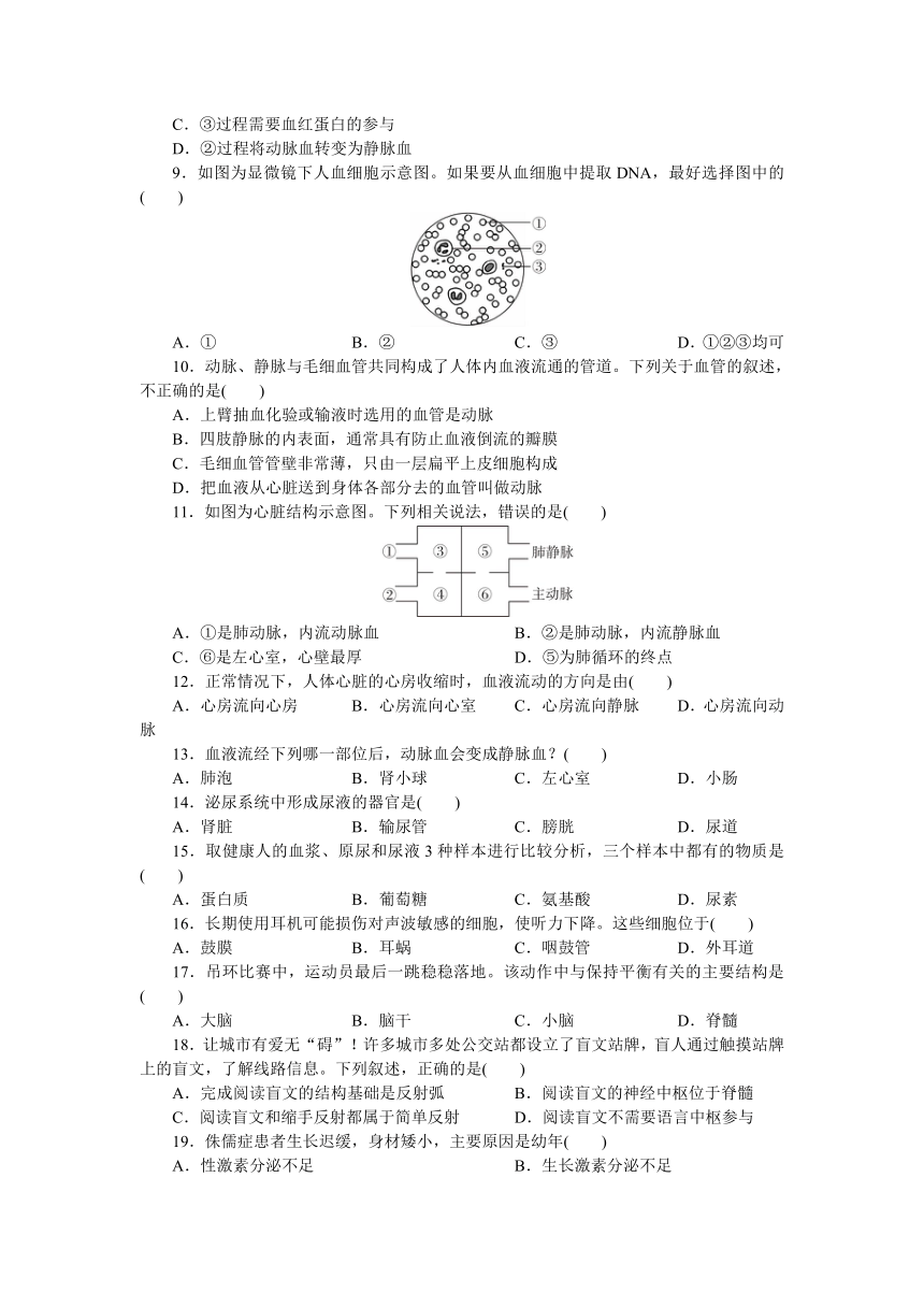 2022年中考生物复习阶段检测试卷二考查范围人教版七年级下册word版含