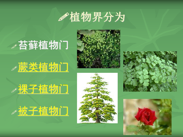 植 物 界授课年级:初二     授课时间:2006年3月植物界分为苔藓植物