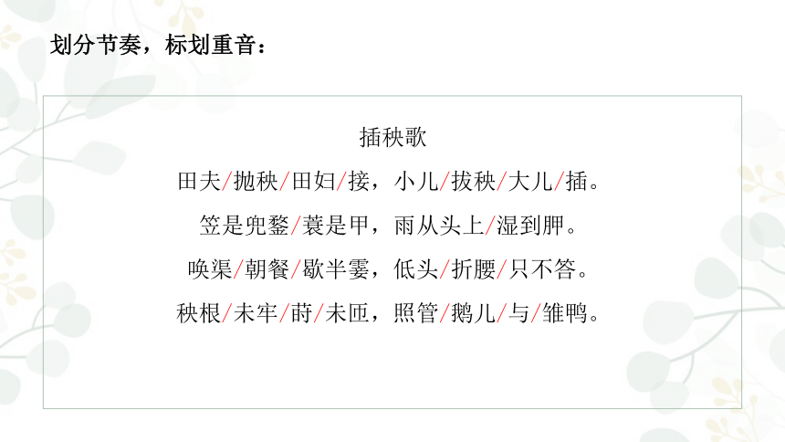 62插秧歌课件32张ppt20212022学年统编版高中语文必修上册第二单元