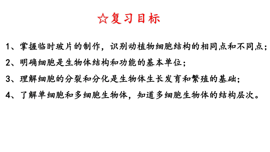 2021--2022学年济南版七年级上册生物第一单元 第二章 观察生物结构