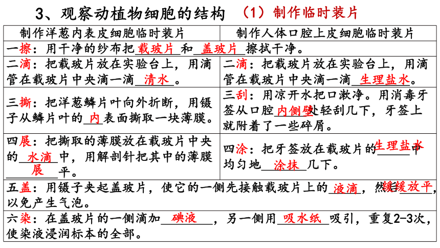 2021--2022学年济南版七年级上册生物第一单元 第二章 观察生物结构