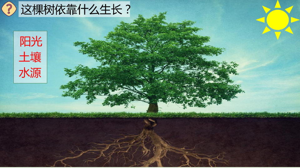 2土壤动植物的乐园12ppt