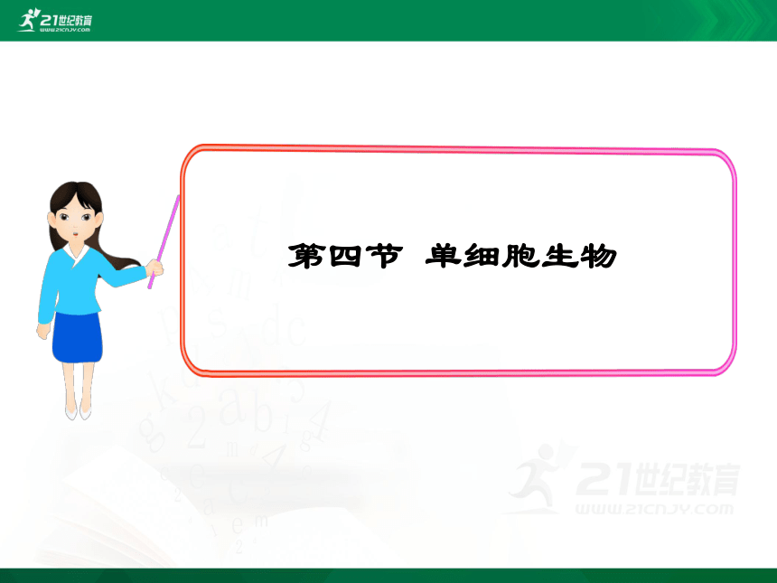 224单细胞生物课件共26张ppt