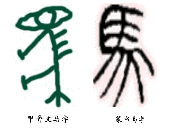 马的世界[下学期]下载-语文-21世纪教育网