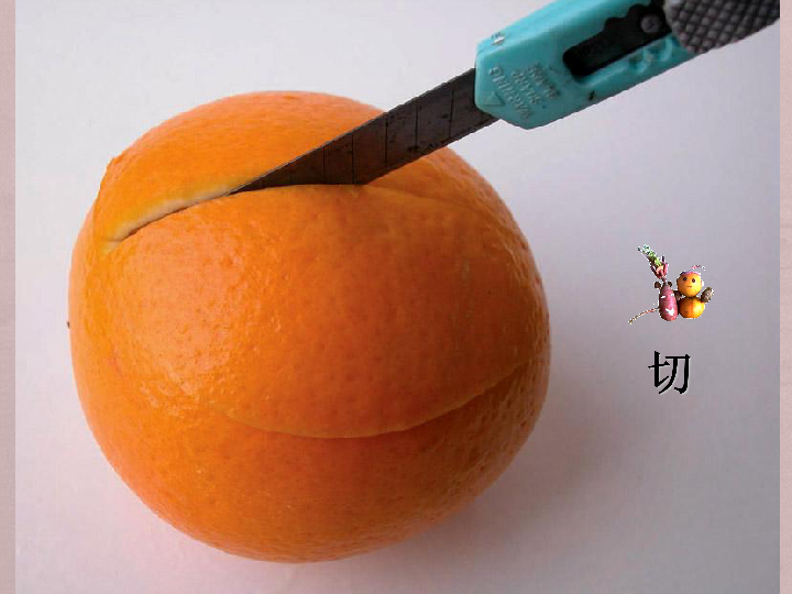 5 蔬果造型 课件(19张幻灯片)