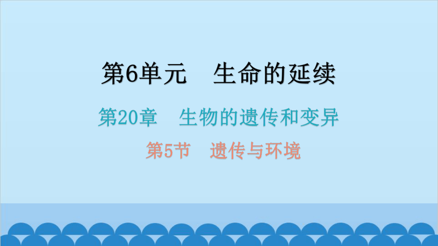 6.20.5遗传与环境课件(共26张PPT)北师大版生物八年级上册