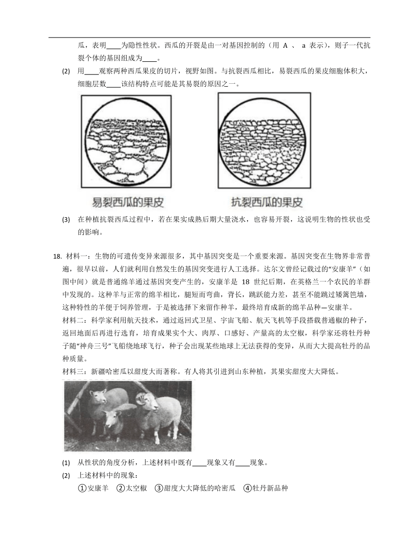 11.4生物的变异 同步练习（含答案）北京版 初中生物八年级上册