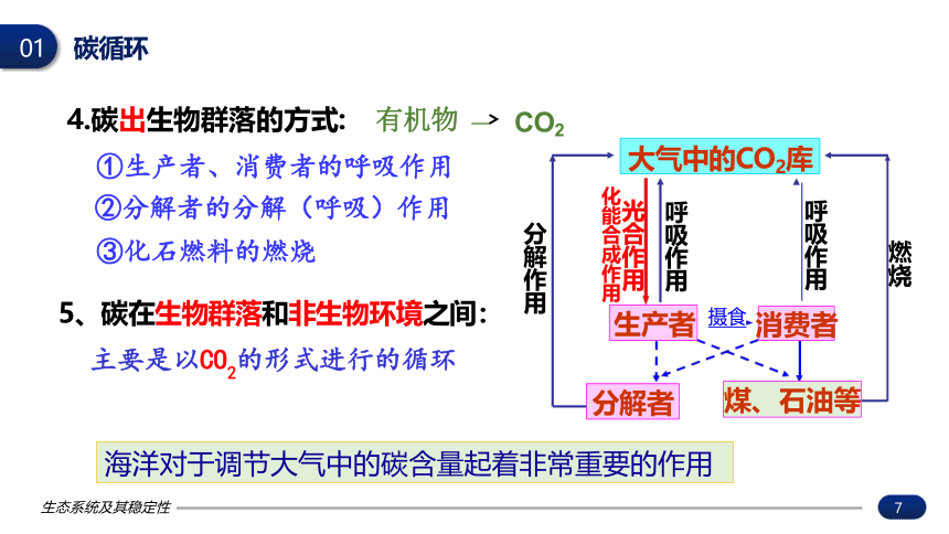 3.3生态系统的物质循环(共26张PPT)课件-高二生物学（人教版2019选择性必修2）