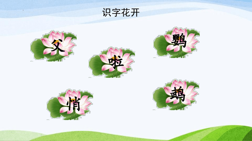 15.《搭船的鸟》课件(共两课时，47张PPT)