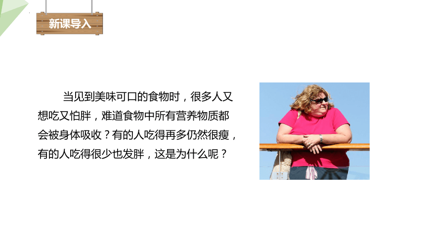 4.8.2 食物的消化和营养物质的吸收 课件 (共24张PPT)初中生物北师版七年级下册