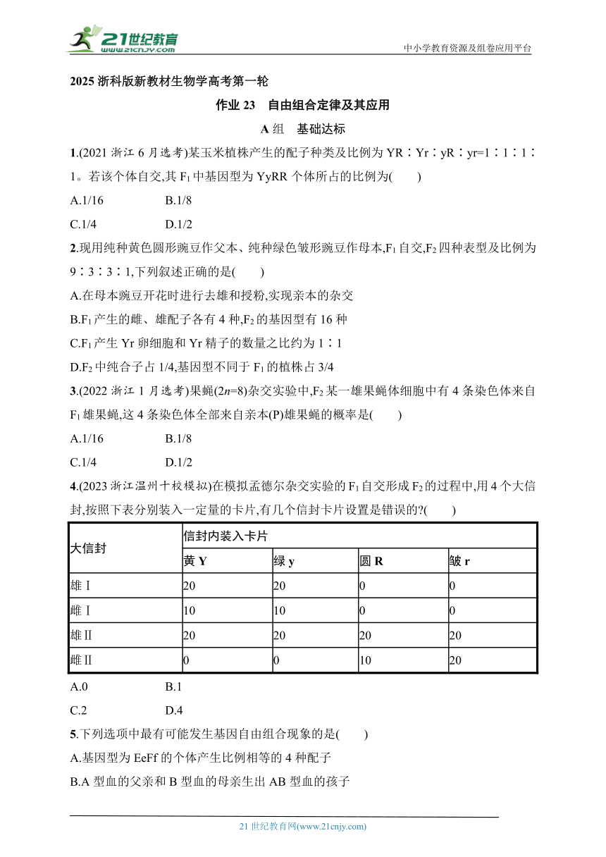 2025浙科版新教材生物学高考第一轮基础练--作业23　自由组合定律及其应用（含解析）