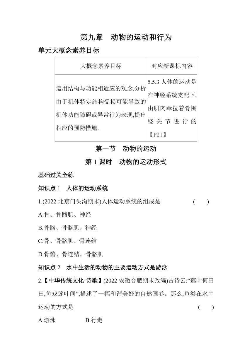 9.1.1动物的运动形式素养提升练（含解析）北京版生物八年级上册