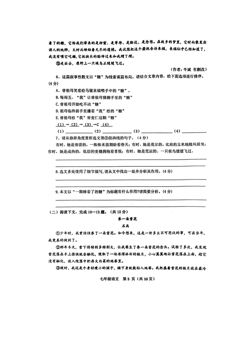 河南省南阳市淅川县2023-2024学年七年级上学期期中考试语文试卷(PDF版无答案)