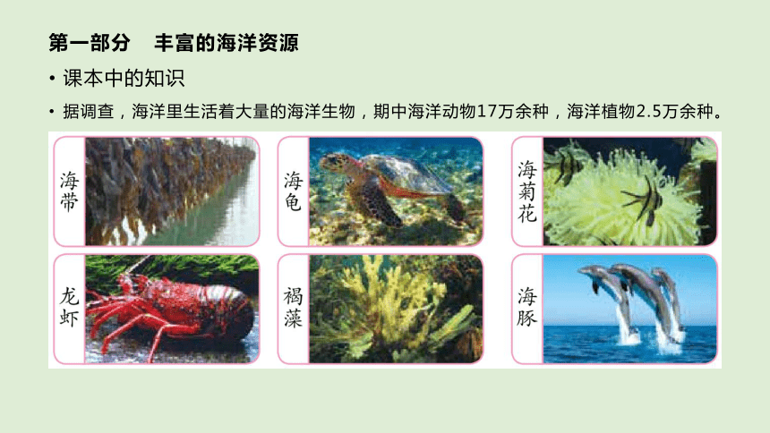 （冀人版）六年级科学上册第19课 丰富的海洋资源（教学课件）(共20张PPT)
