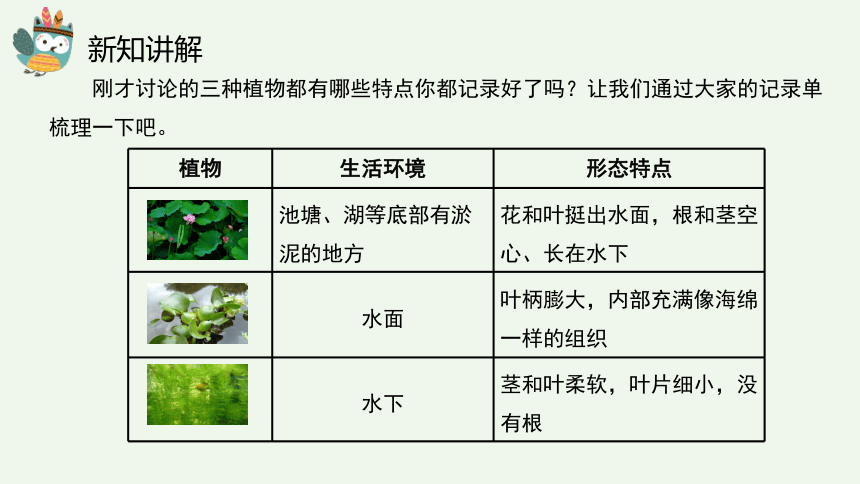 小学科学人教鄂教版 （2017秋）四下10《不同环境中的植物》同步课件(共33张PPT)