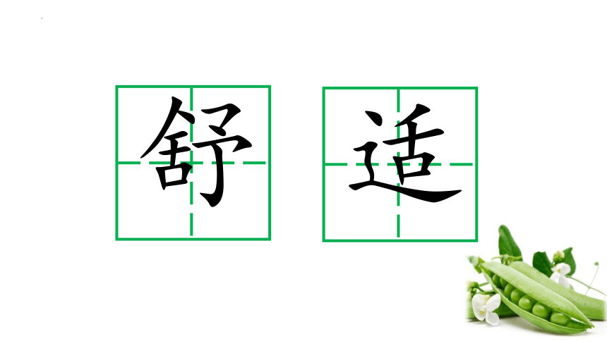 5《一个豆荚里的五粒豆》  课件(共24张PPT)