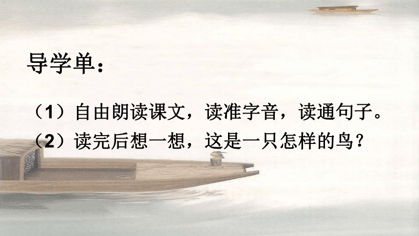 15.《搭船的鸟 》课件(共两课时，23张PPT)