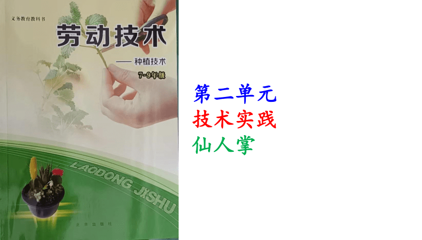 第二单元 技术实践  仙人掌  课件（共32张PPT） 北京出版社八年级劳动技术