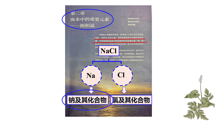 2.1.1活泼的金属单质——钠  课件（共39张ppt）化学人教版（2019）必修第一册