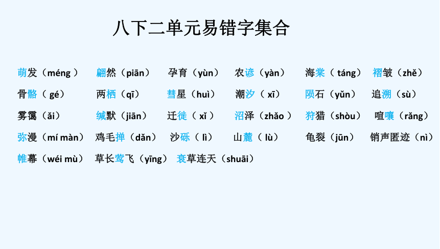 八下 字音字形 习题 课件(一轮复习)(共32张PPT)