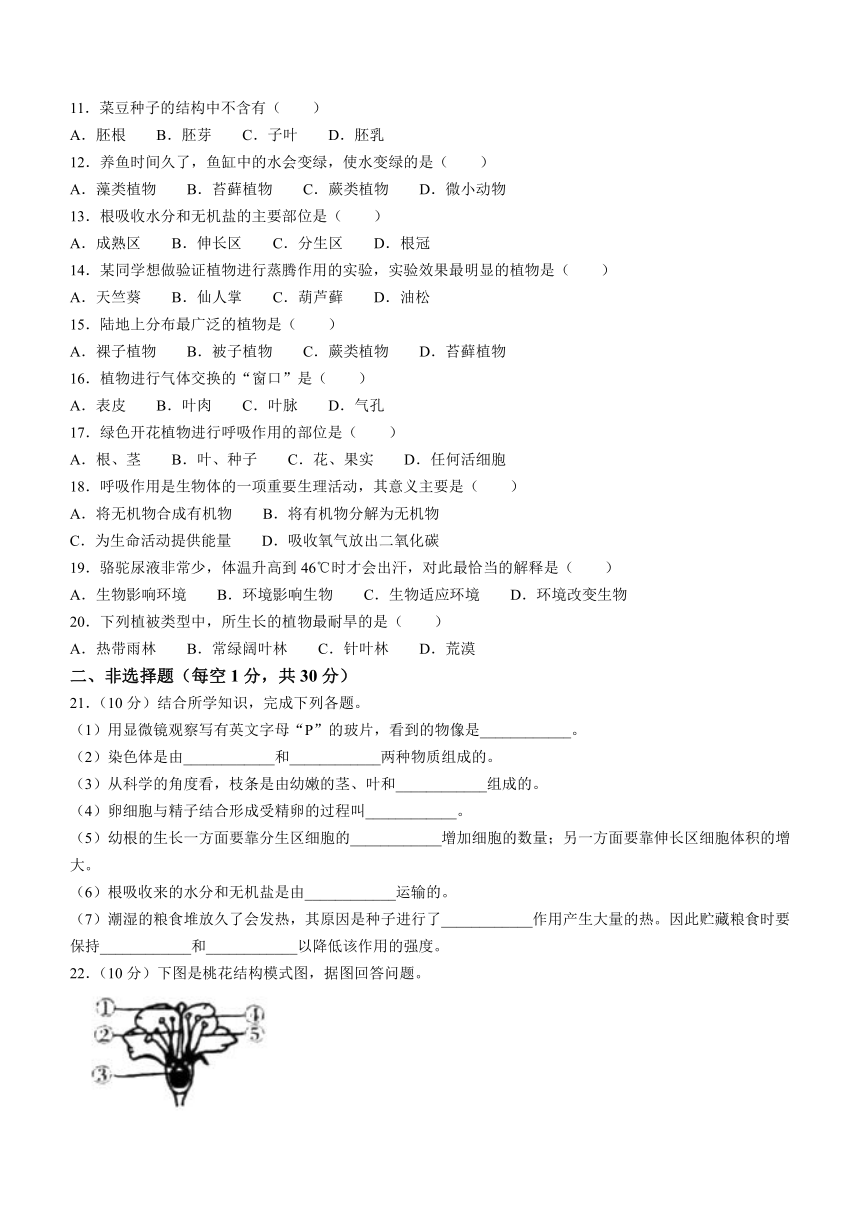 吉林省通化市梅河口市2023-2024学年七年级上学期期末测试生物试题（含答案）