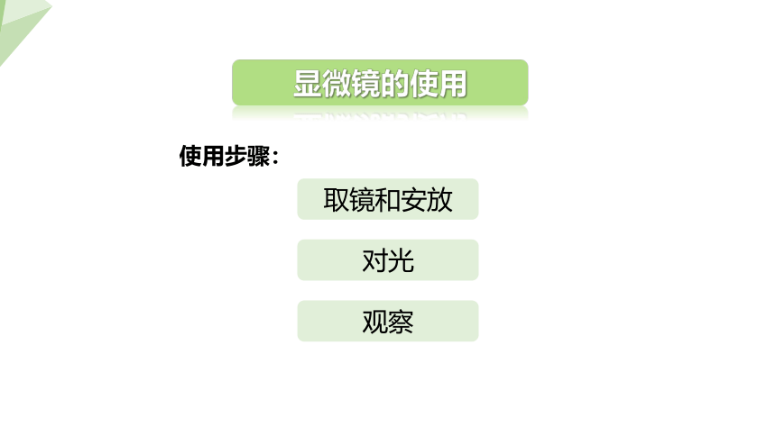 2.1.1 练习使用显微镜 课件 （共23张PPT）2023-2024学年初中生物人教版七年级上册