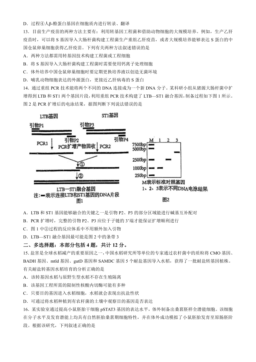 江苏省盐城市亭湖区2023-2024学年高二下学期3月月考生物学试题（含答案）