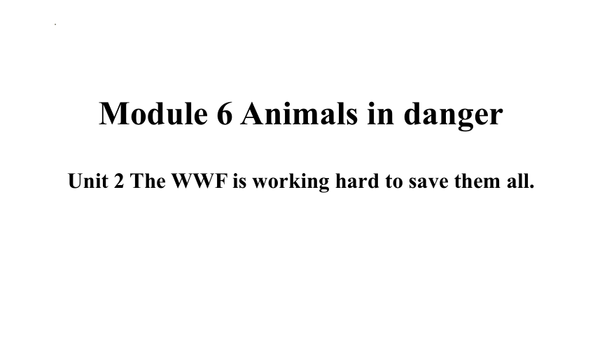 Module 6 Unit 2 The WWF is working hard to save them all.知识点课件2023—2024学年外研版英语八年级上册（30张PPT））