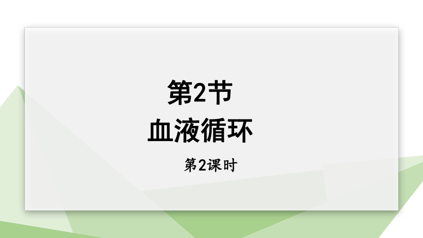 4.9.2 血液循环 第2课时 课件(共22张PPT内嵌视频1个) 2023-2024学年初中生物北师版七年级下册