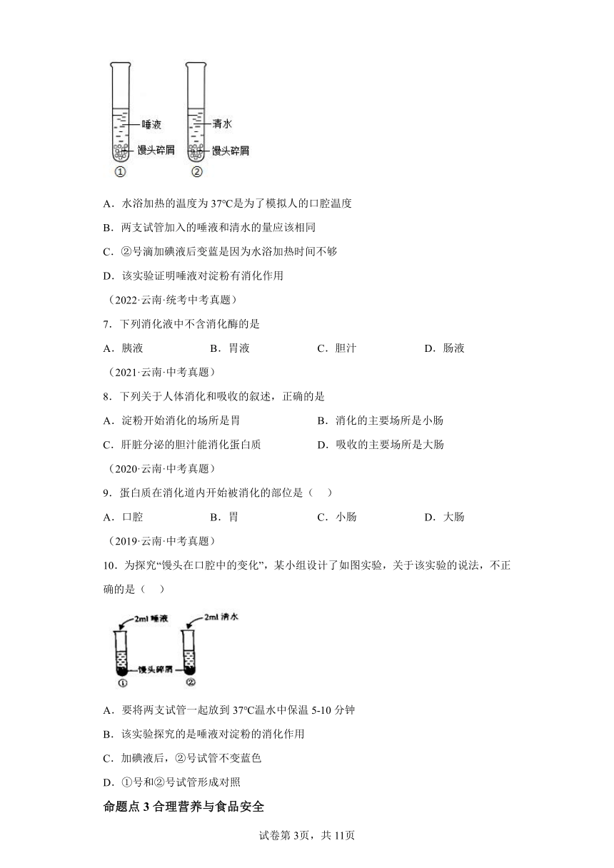 专题06人体的营养和呼吸 5年（2019-2023）中考1年模拟生物真题分类汇编（云南专用）（含解析）