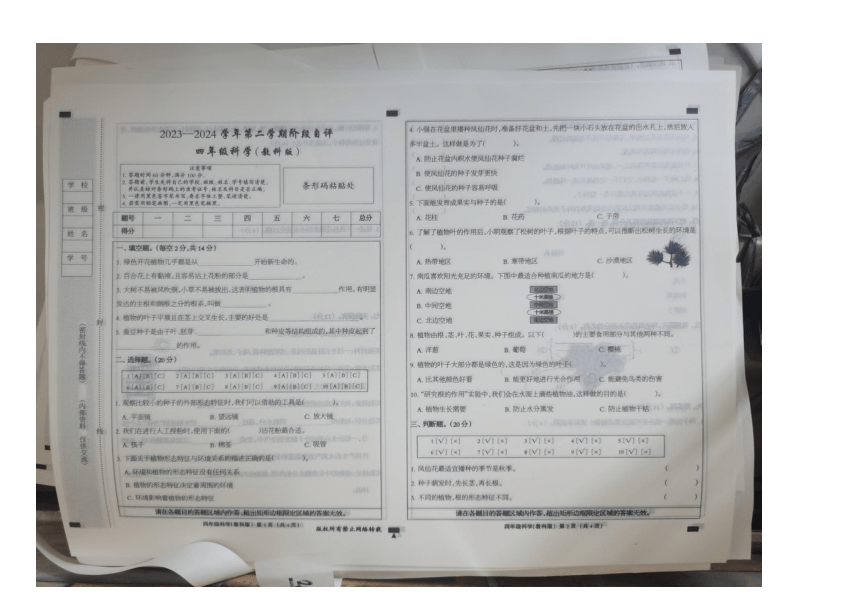 河北省沧州市青县第二实验小学等2校2023-2024学年四年级下学期3月月考科学试题（图片版无答案）