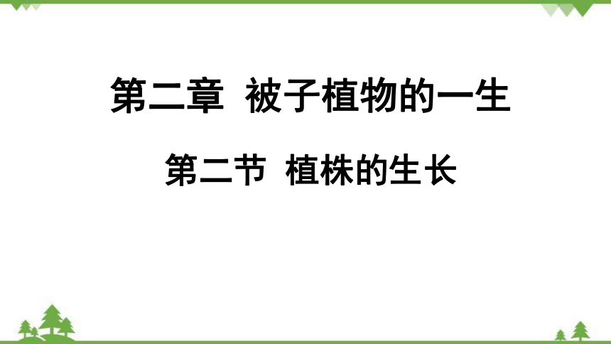 3.2.2植株的生长课件(共34张PPT)人教版生物七年级上册