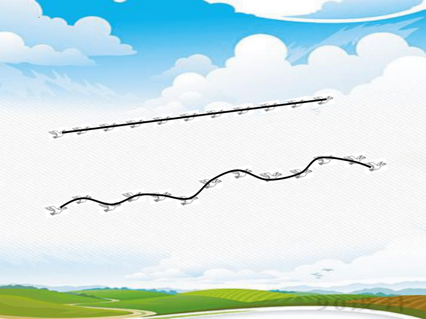 苏教版二年级上册数学 认识线段课件(共20张PPT)